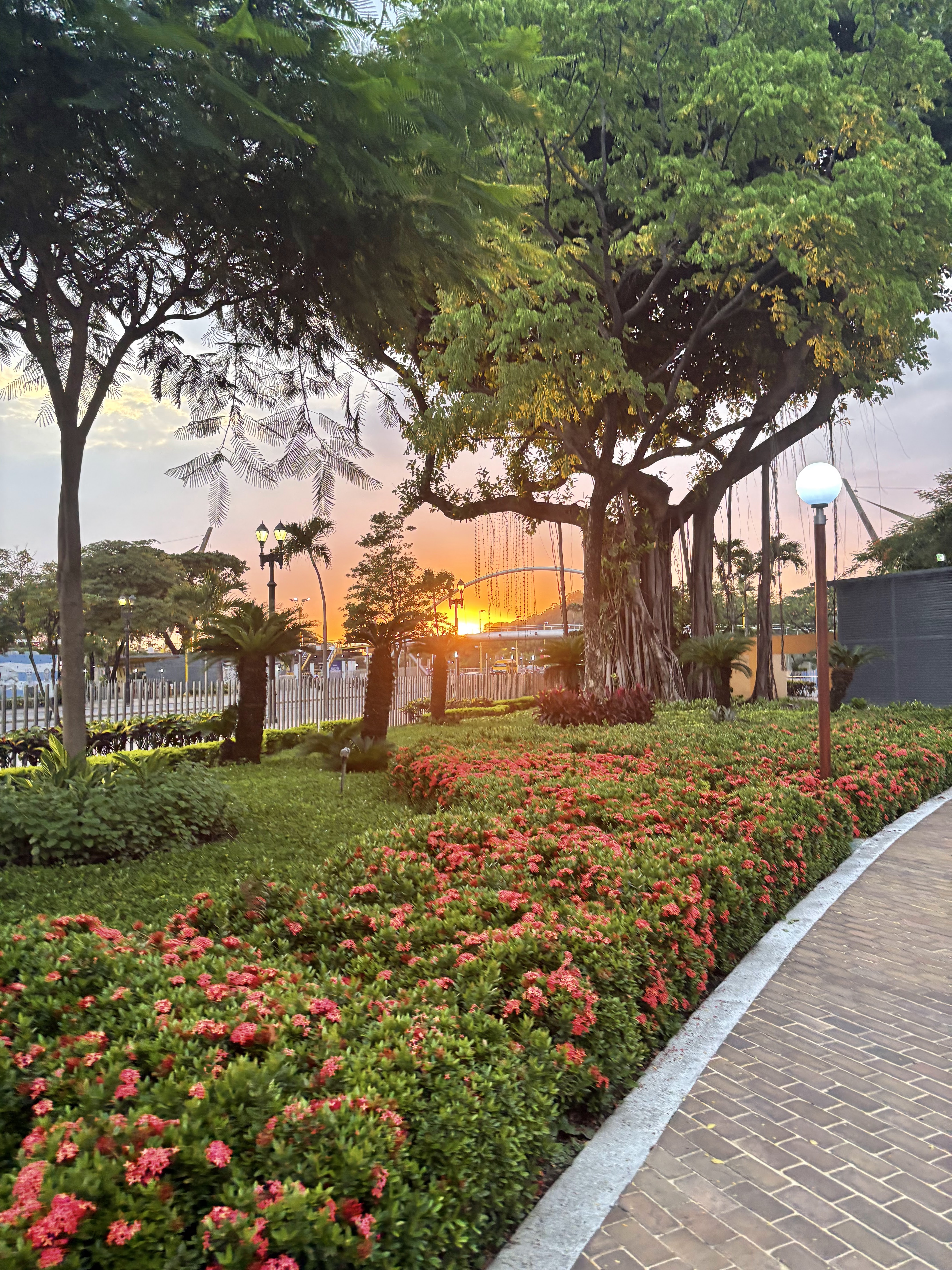 Plaza Rodolfo Baquerizo Moreno 15